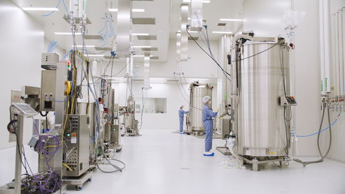 科學服務巨頭賽默飛加碼杭州CDMO工廠 強化本土化戰(zhàn)略以滿足中國及海外市場需求